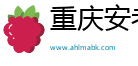 重庆安考